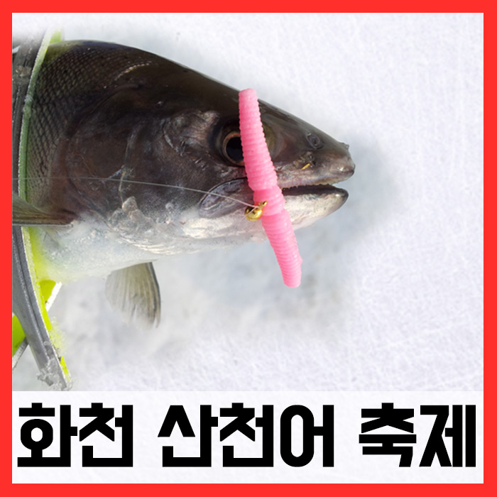 화천산천어축제/ 매직웜 원스톱 채비완성 세트 얼음낚시 미끼 웜