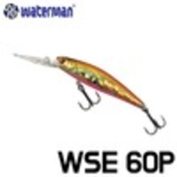 워터맨/ 시탐 WSE60P
